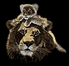 lion lionceau